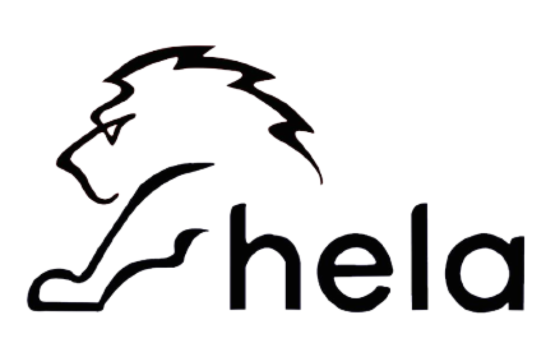 Client Logo